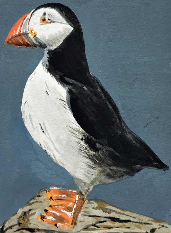 Standing Puffin #2