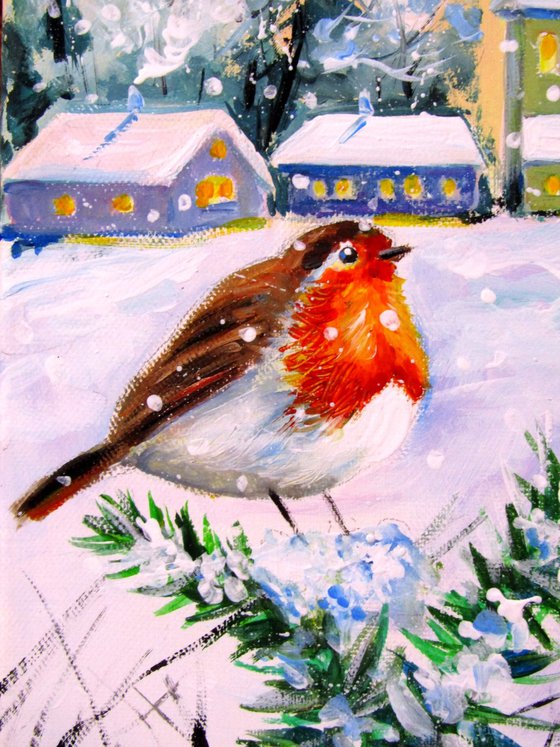 Robin on the edge of village