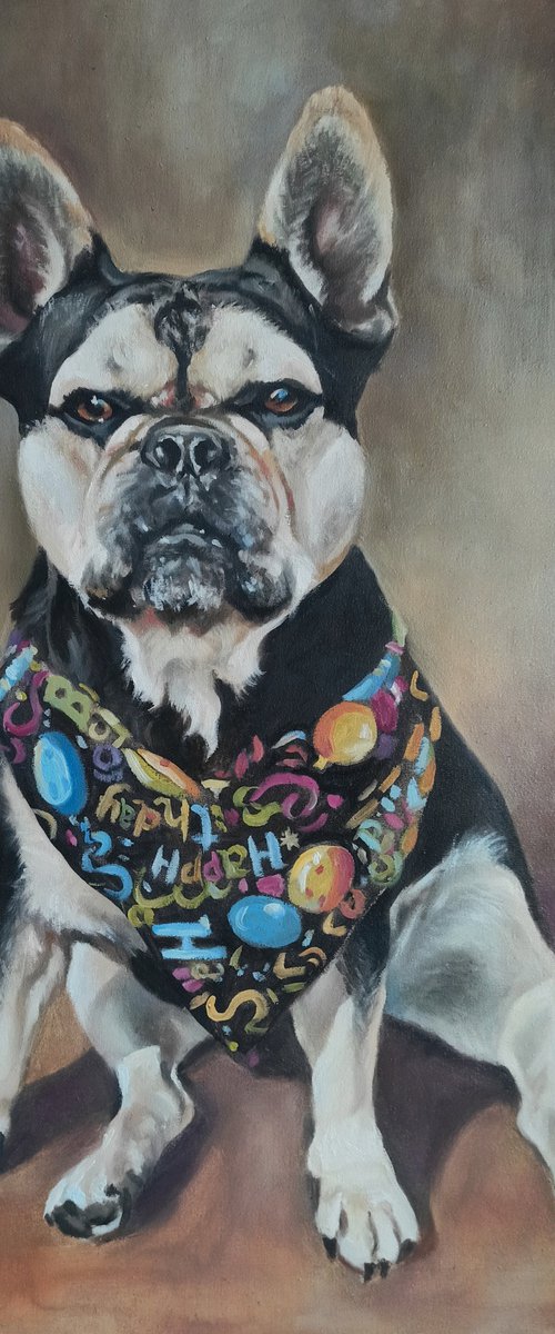 Dog portrait by Magdalena Palega