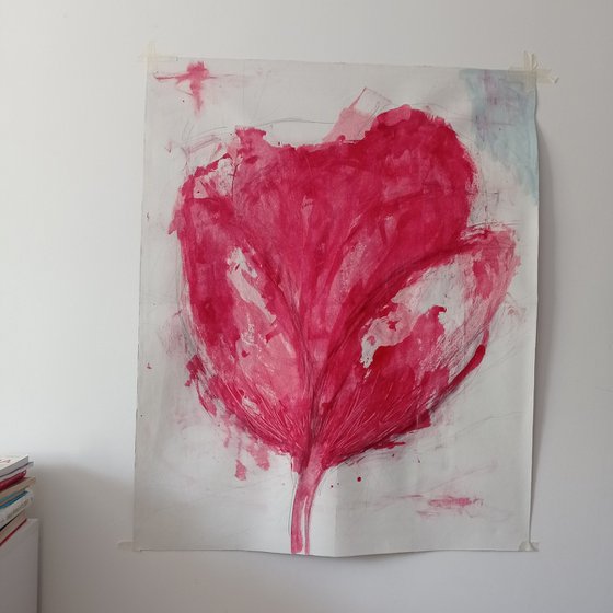 Tulip