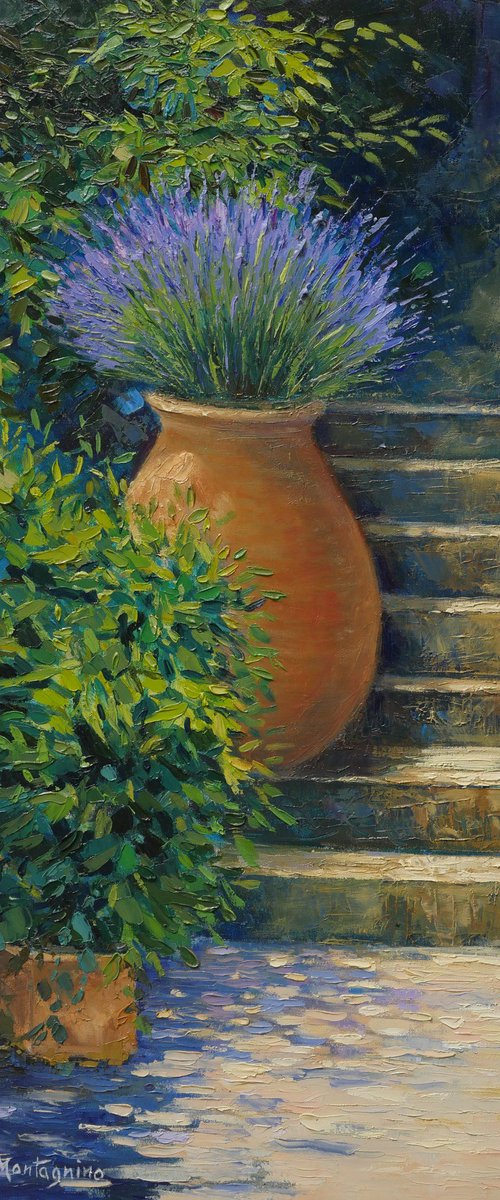 The Jar by Susanna Montagnino