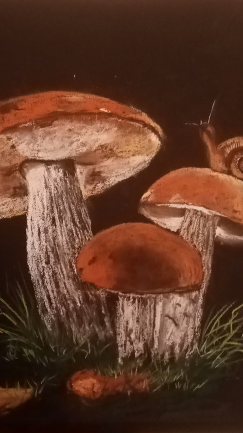 Family of mushrooms at Dusk by Liubov Samoilova