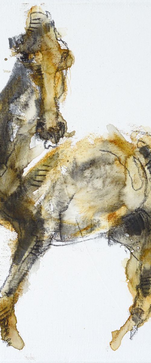 Equine Nude 188 by Benedicte Gele