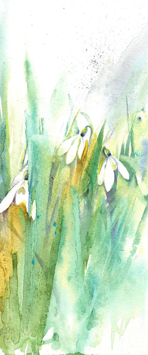 Snowdrops by Anjana Cawdell