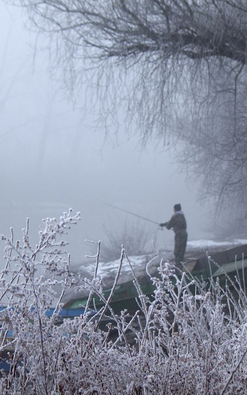 Winter fishing by Sonja  Čvorović