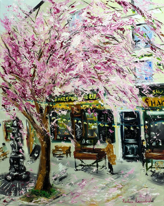 Cherry Blossoms by Shakespeare & Company, Paris II