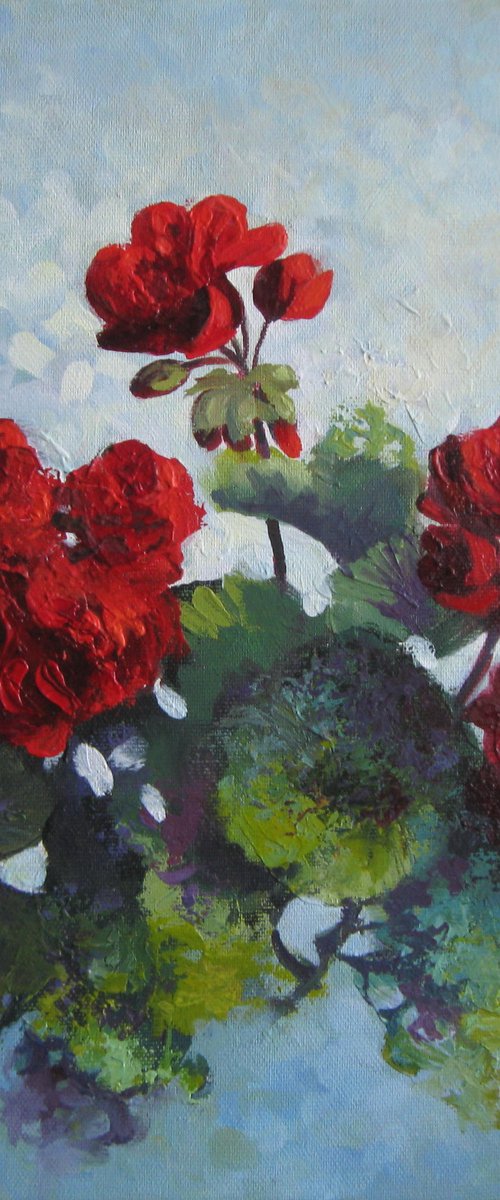 Geranium by Elena Oleniuc