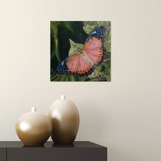 Orange butterfly