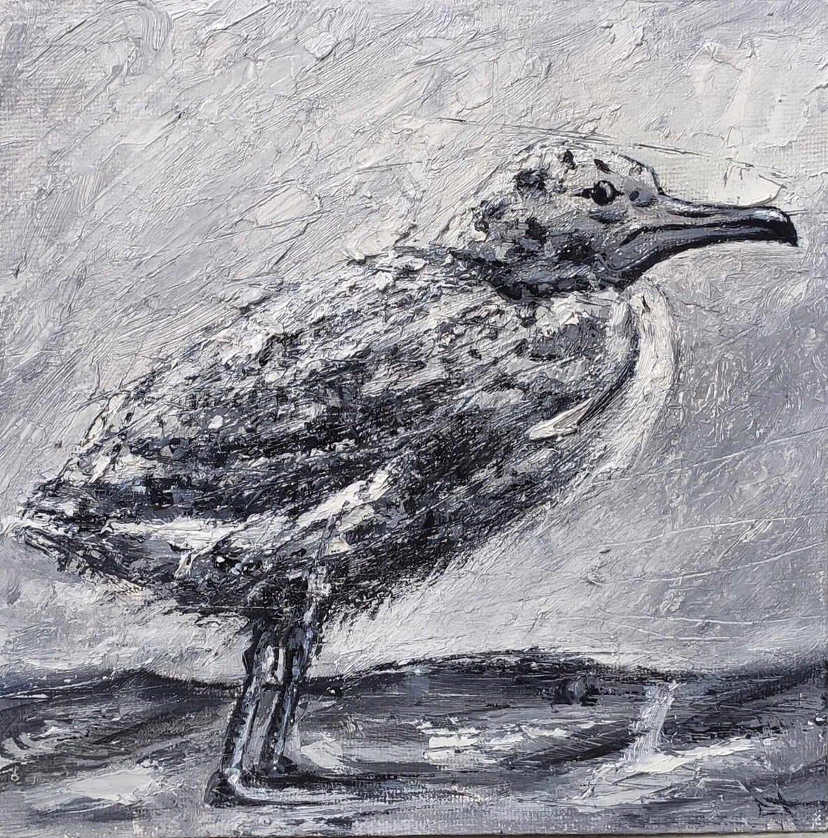 Expressive Animal Oil Painting By Lionel Le Jeune, 8 X 8", Petit Goeland, Original Artwork