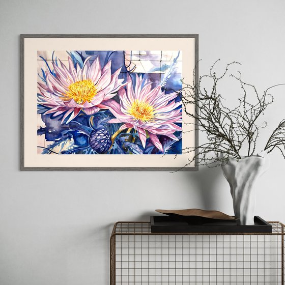 Purple Carpobrotus Edulis