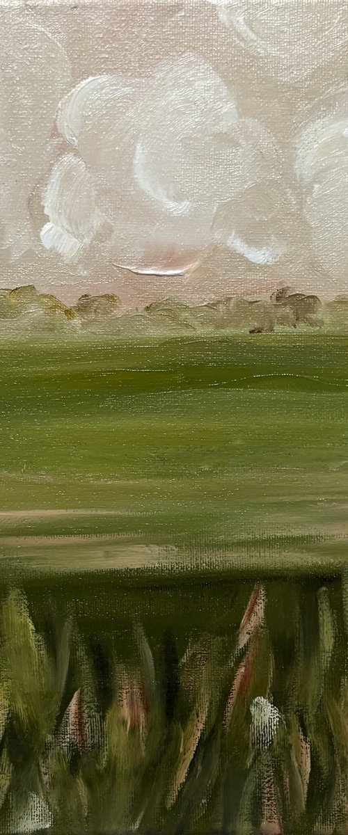 Creamy clouds horizon and soft fields by Daniela Nocito