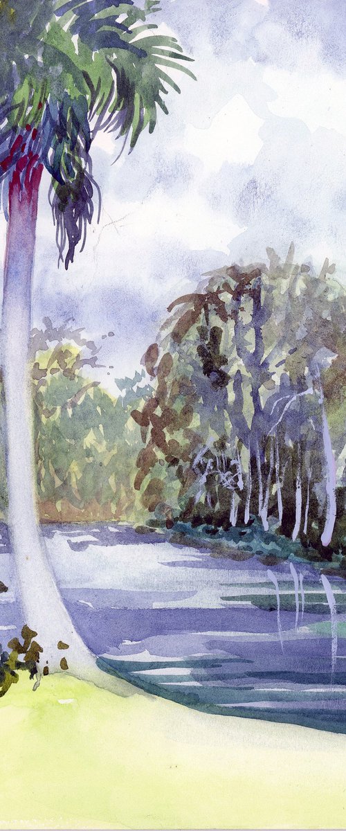 Silver Springs, Early Spring Florida by Catherine Twomey