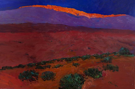 The Last Rays. Desert