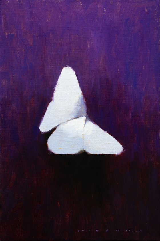 “Folded Wings”
