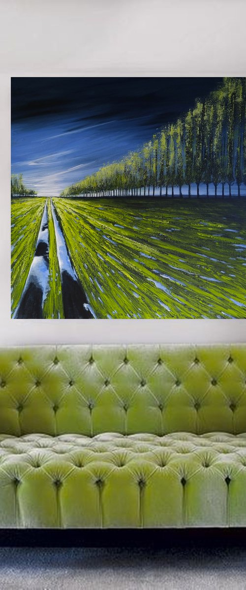 After Rain - Fields and Colors Series by Danijela Dan