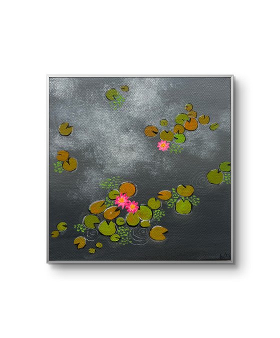Mini Waterlily ponds