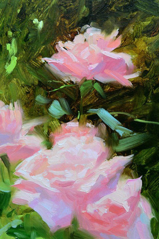 Roses on a sunny day