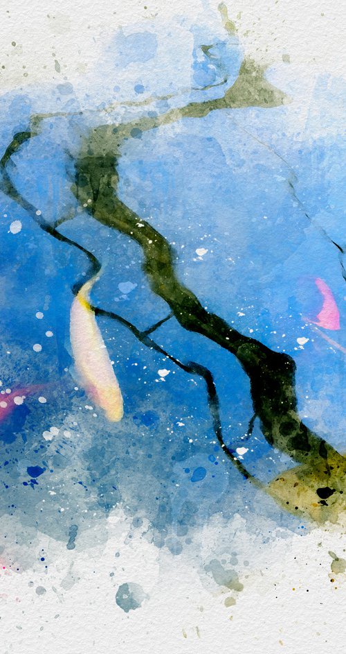 Watercolor Koi by Barbara Storey