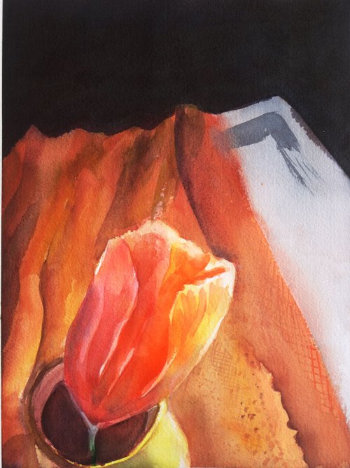 Orange Tulip by Sri Rao