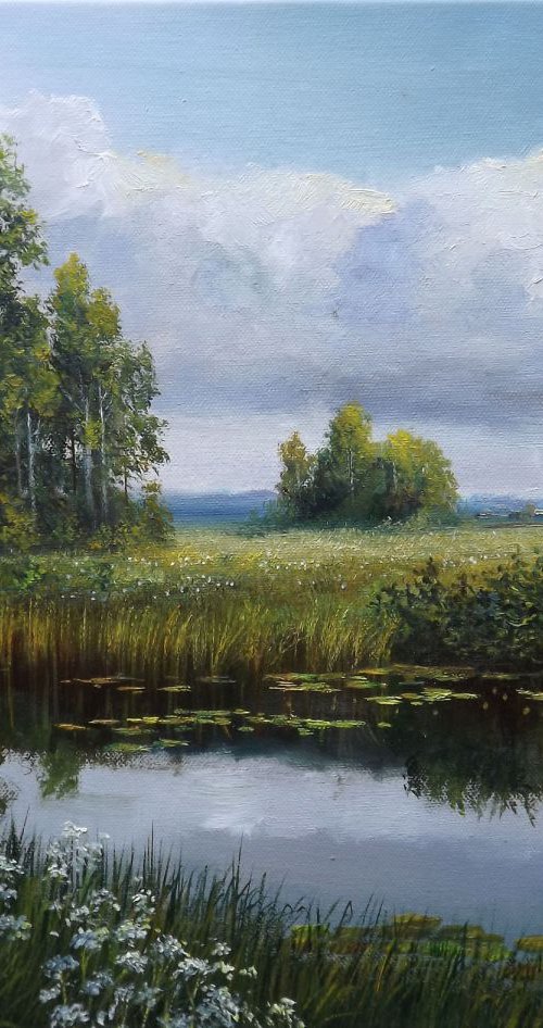 Daisies by the River by Oleg Riabchuk