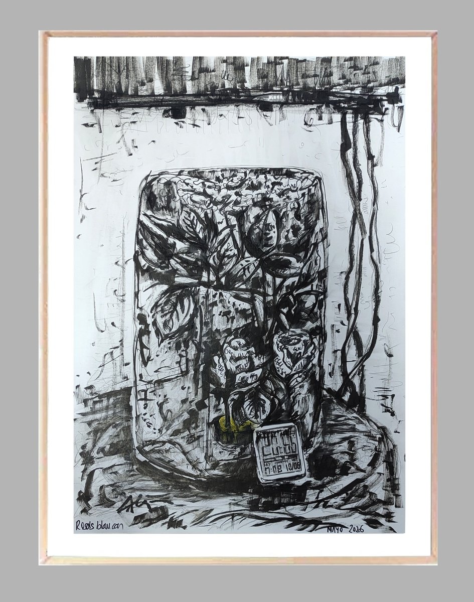 Expressive Drawing , White Roses By Alejos, 17 X 23, Artwork For Sale On Artfinder