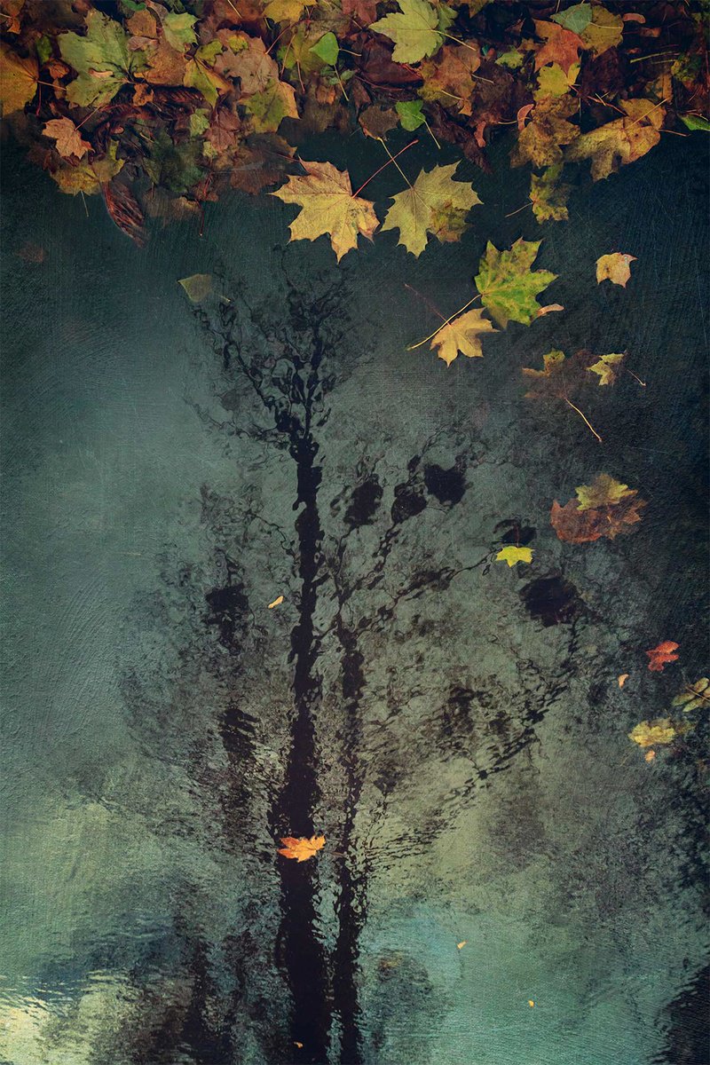 Impressionistic Landscape Photograph By Valerix, 20 X 30", Gone With The November Rain, Original Artwork