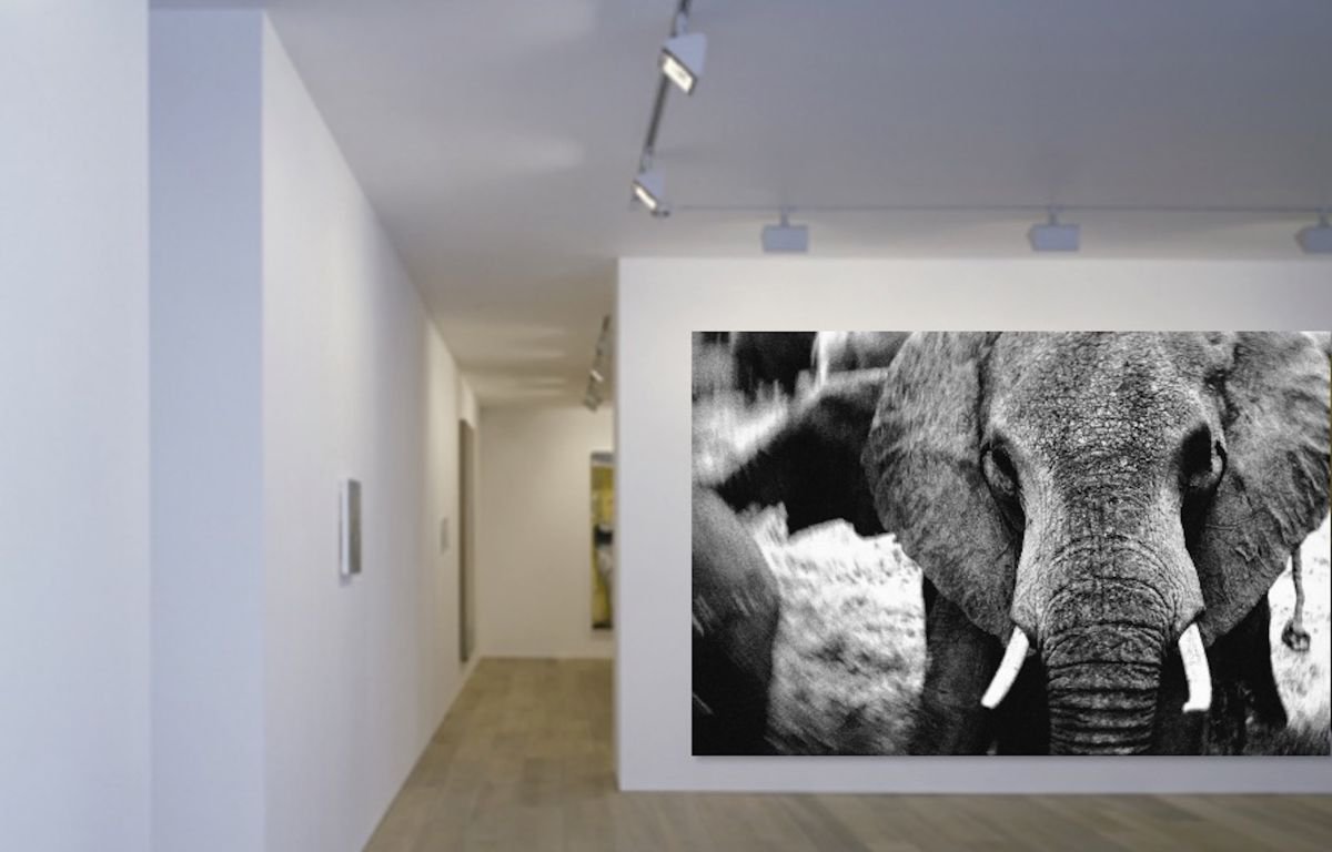 Impressionistic Animal Photograph By Marc Ehrenbold, 40 X 30", Forget Me Not, Original Artwork