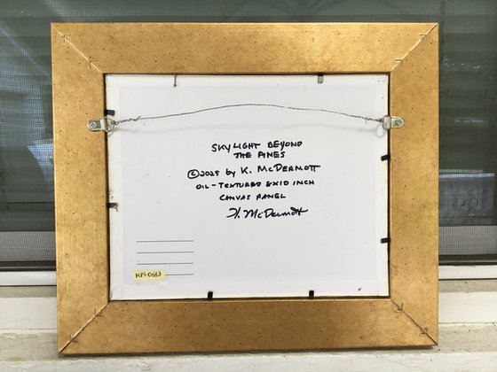 SKYLIGHT BEYOND THE PINES ©2025