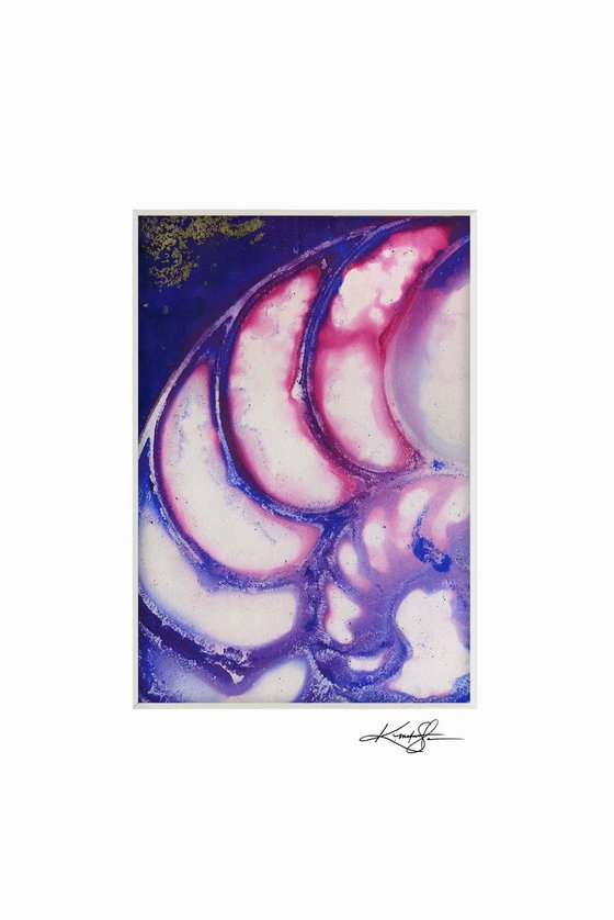 Nautilus Shell Collection 20