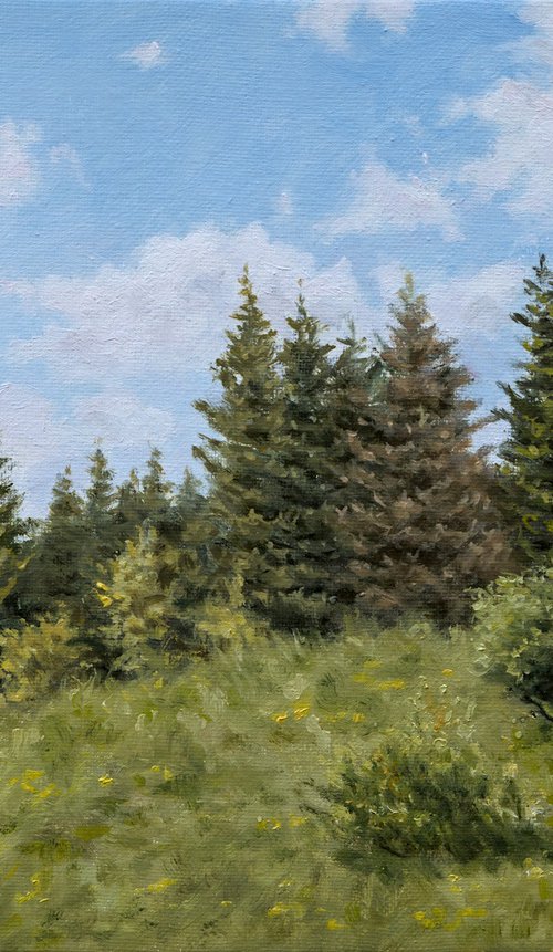 Cemernik Pines by Dejan Trajkovic