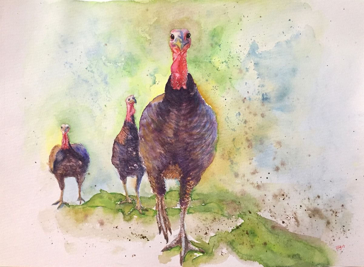 Turkeys by Jing Tian