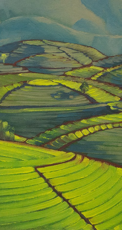 Landscape study tea plantation by Yue Zeng