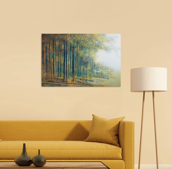 Forest Edge In Evening Light