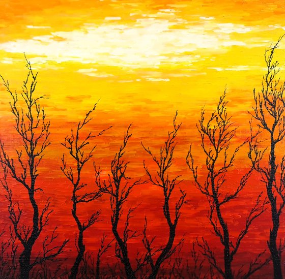 Sunny trees