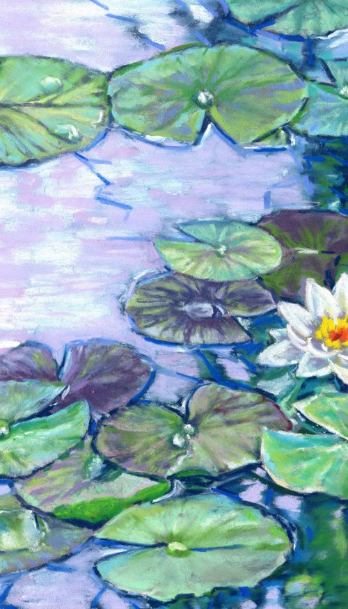 White Waterlilies by Zoe Elizabeth Norman