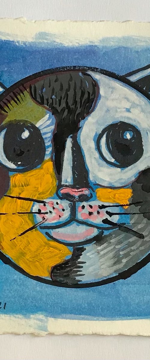 Cat No. 3 by Roberto Munguia Garcia
