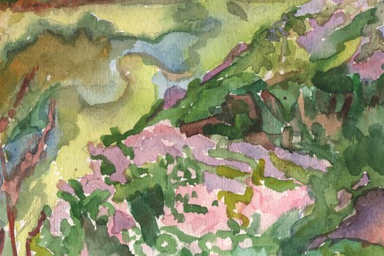 Flowering meadow