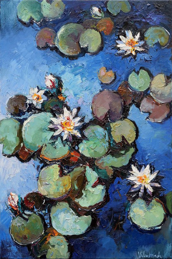 White water lilies Original oil painting 60 x 90 cm