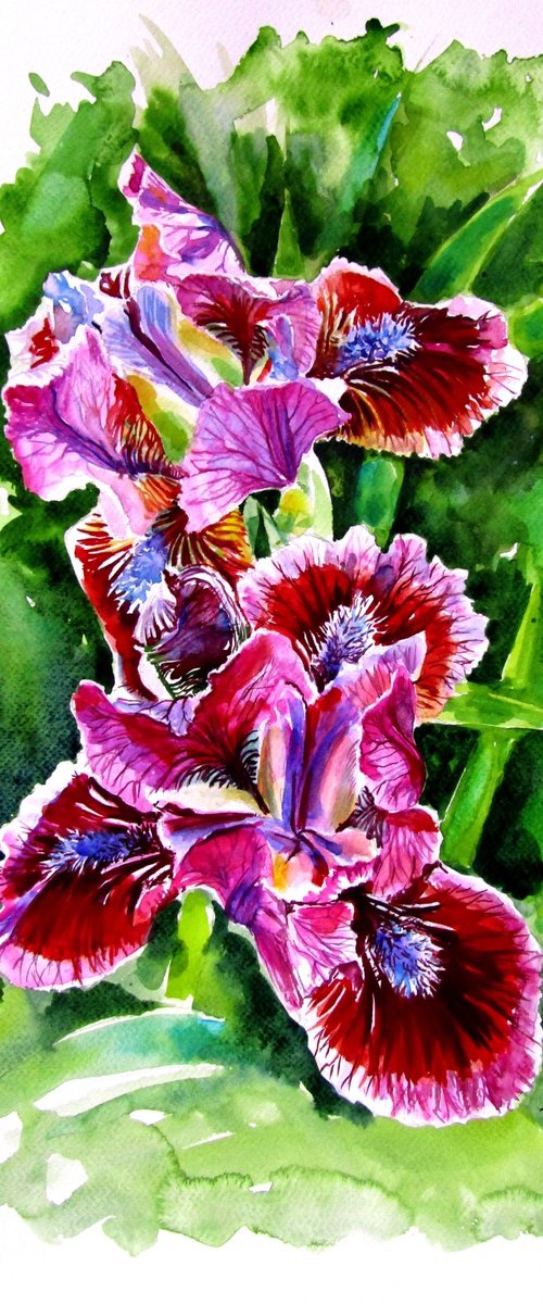 Iris II by Kovács Anna Brigitta