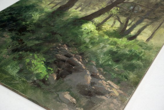 Spring in the forest