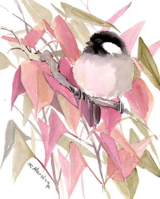 Chickadee Bird