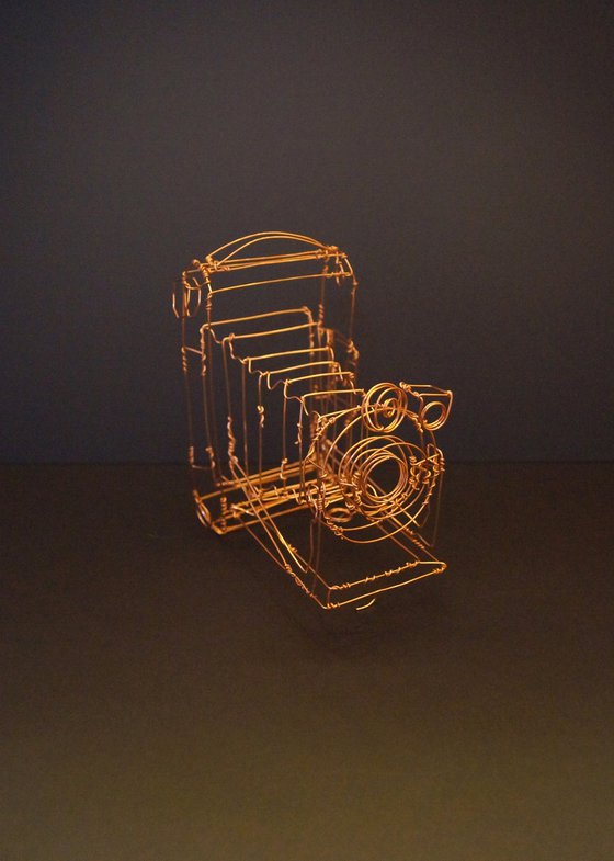 Kodak Camera Wire Sculpture
