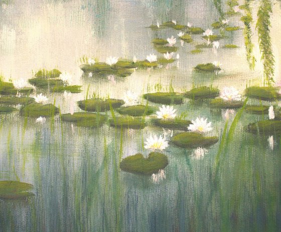 Lily pond