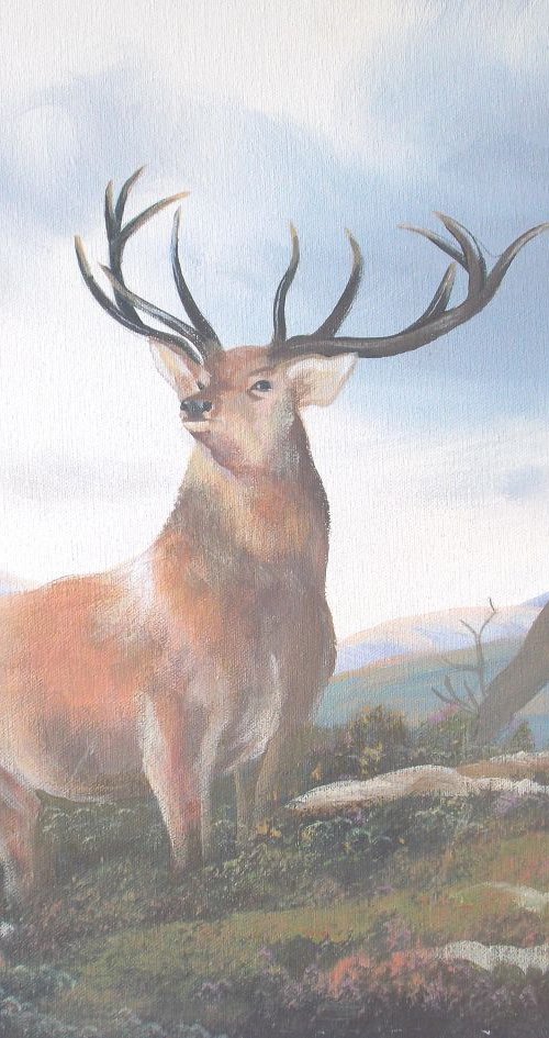 the stag fight by cathal o malley