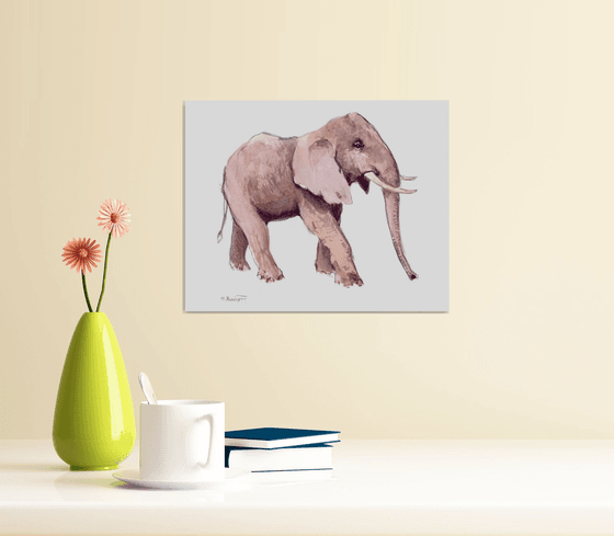 African Elephant