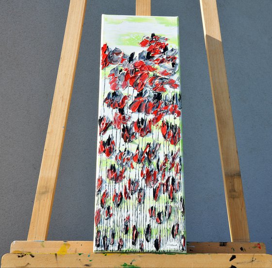 Poppy Flowers 1