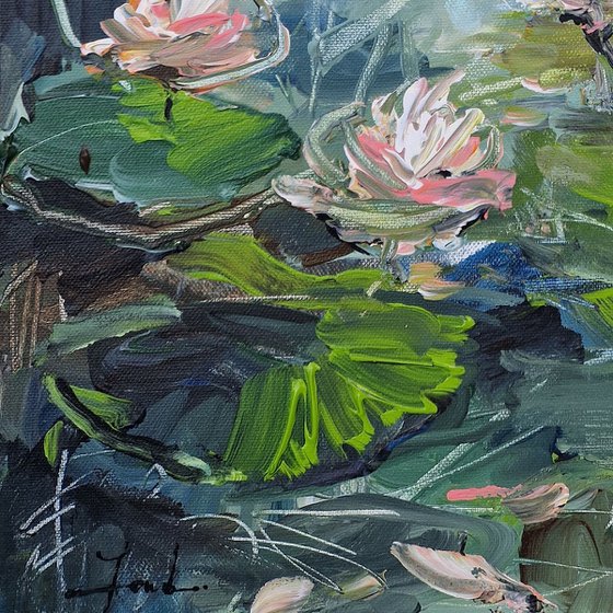 A little lily pond I