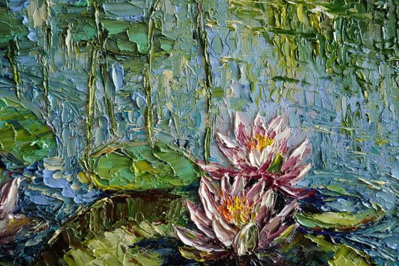 Water Lily Pond