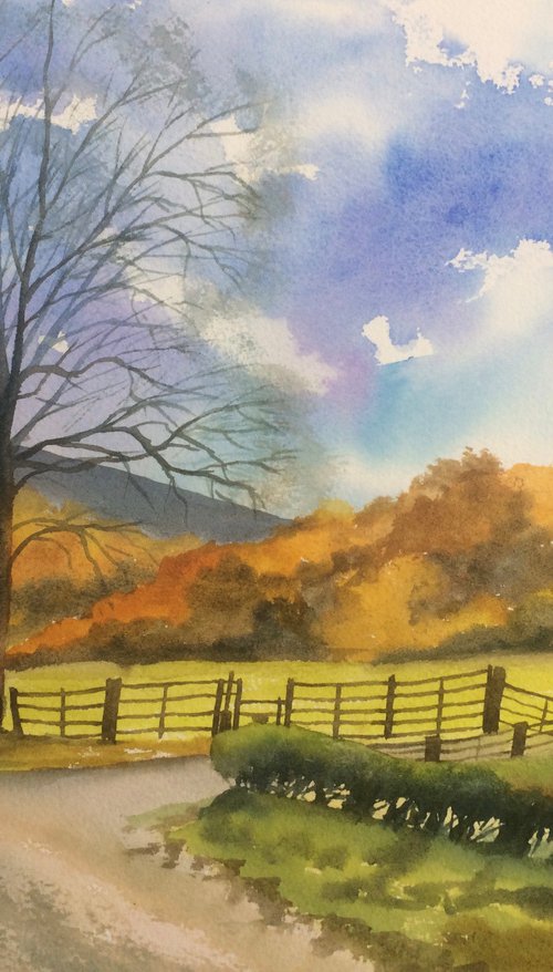 Shropshire countryside by Silvie Wright