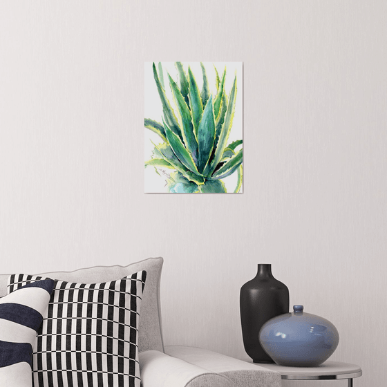 Agave